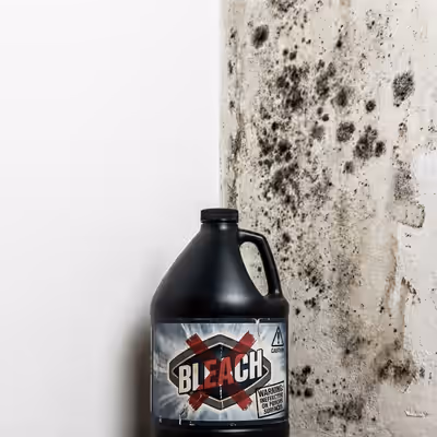 El gran mito de limpiar el Moho con Lejía