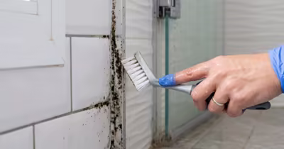 Moho en el baño: por qué sale y cómo eliminarlo para siempre